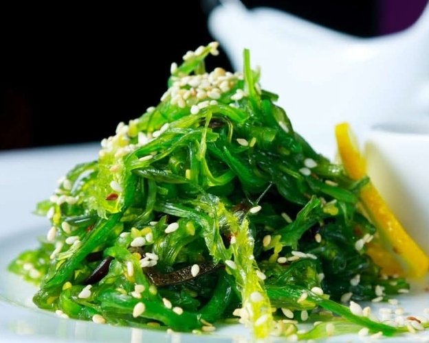 Fresh Peruvian seaweed harvest at coastal processing facility